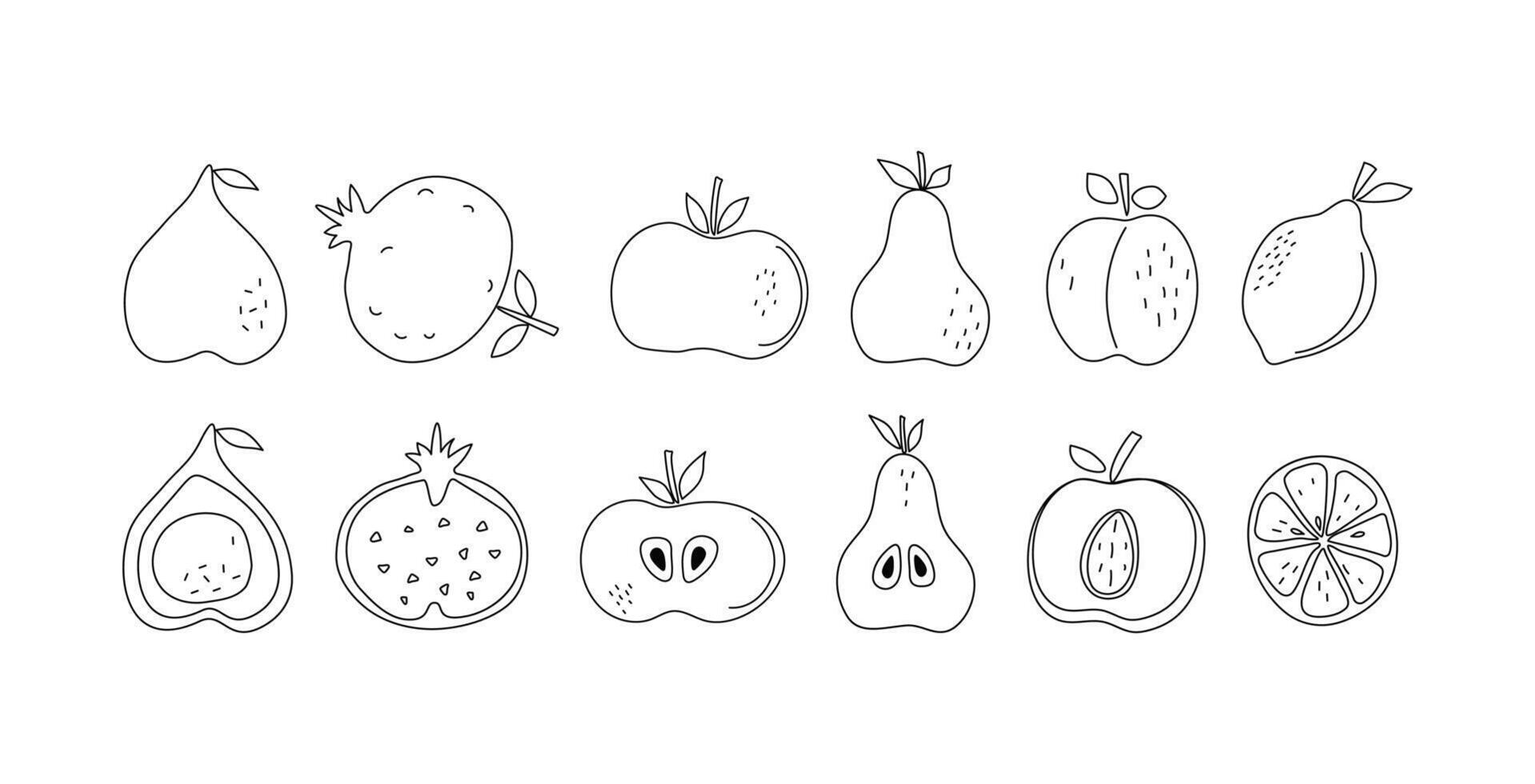 Set of slices and whole fruits. Simple abstract fruits with leaves. Vitamin natural vegetarian food, garden crop, harvest. Drawing, sketch, illustration on white isolated white background. vector