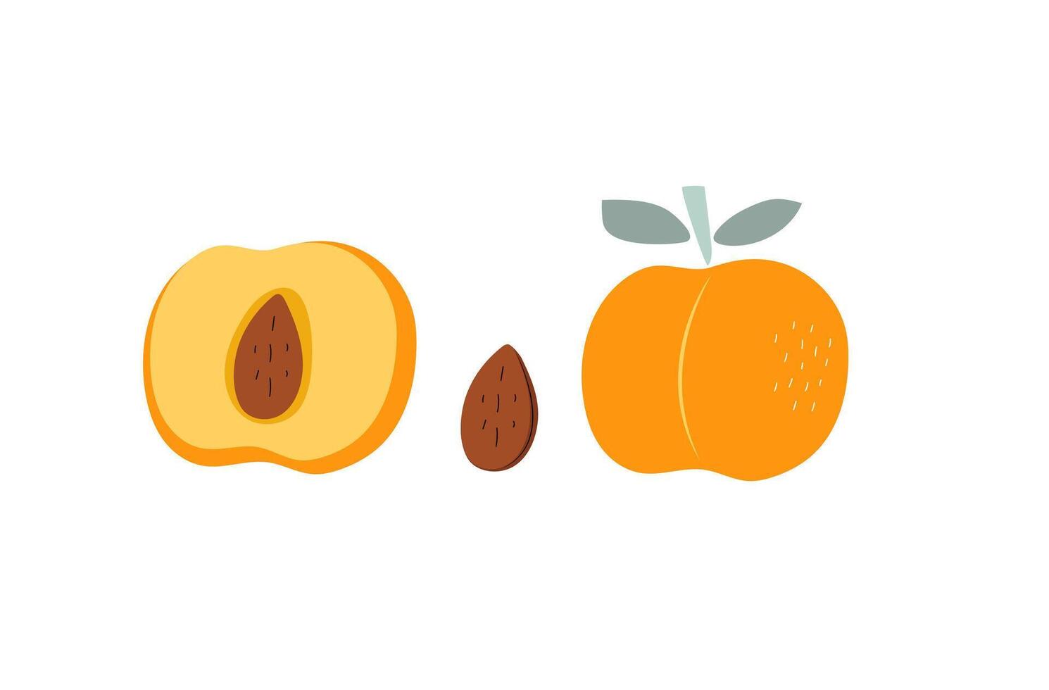 Peach, apricot slices and whole fruit. Simple abstract fruits with leaves and stone. Vitamin natural vegetarian food, garden crop, harvest. Color flat illustration. Isolated white background. vector