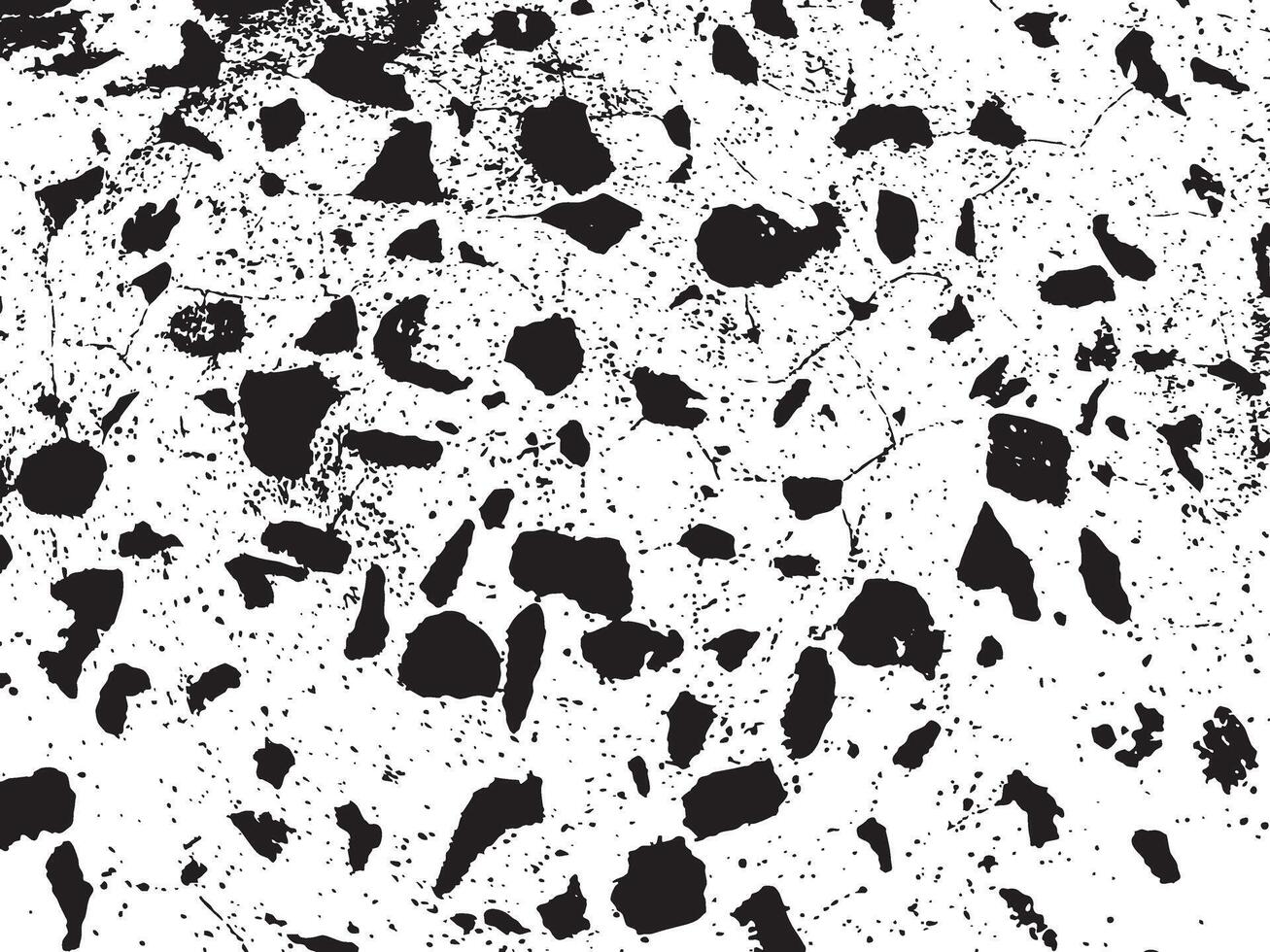 Black and white grunge texture vector