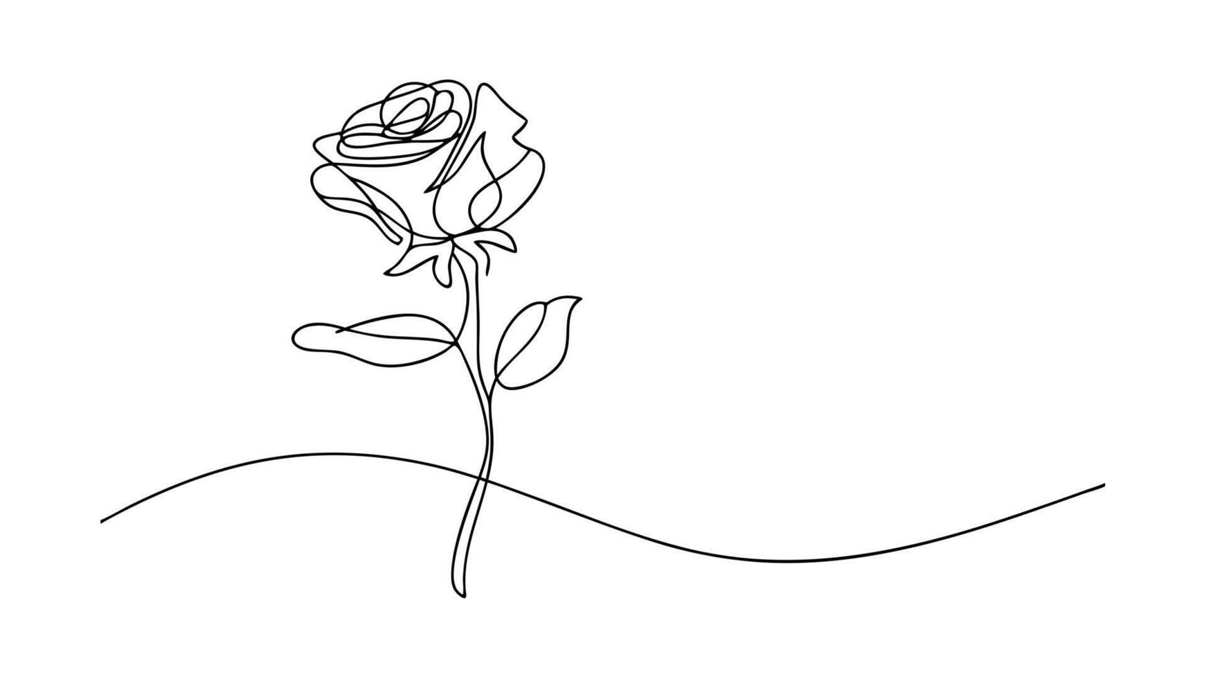 Single Line Rose Drawing Minimalist Flower Art, Elegant Botanical Illustration vector