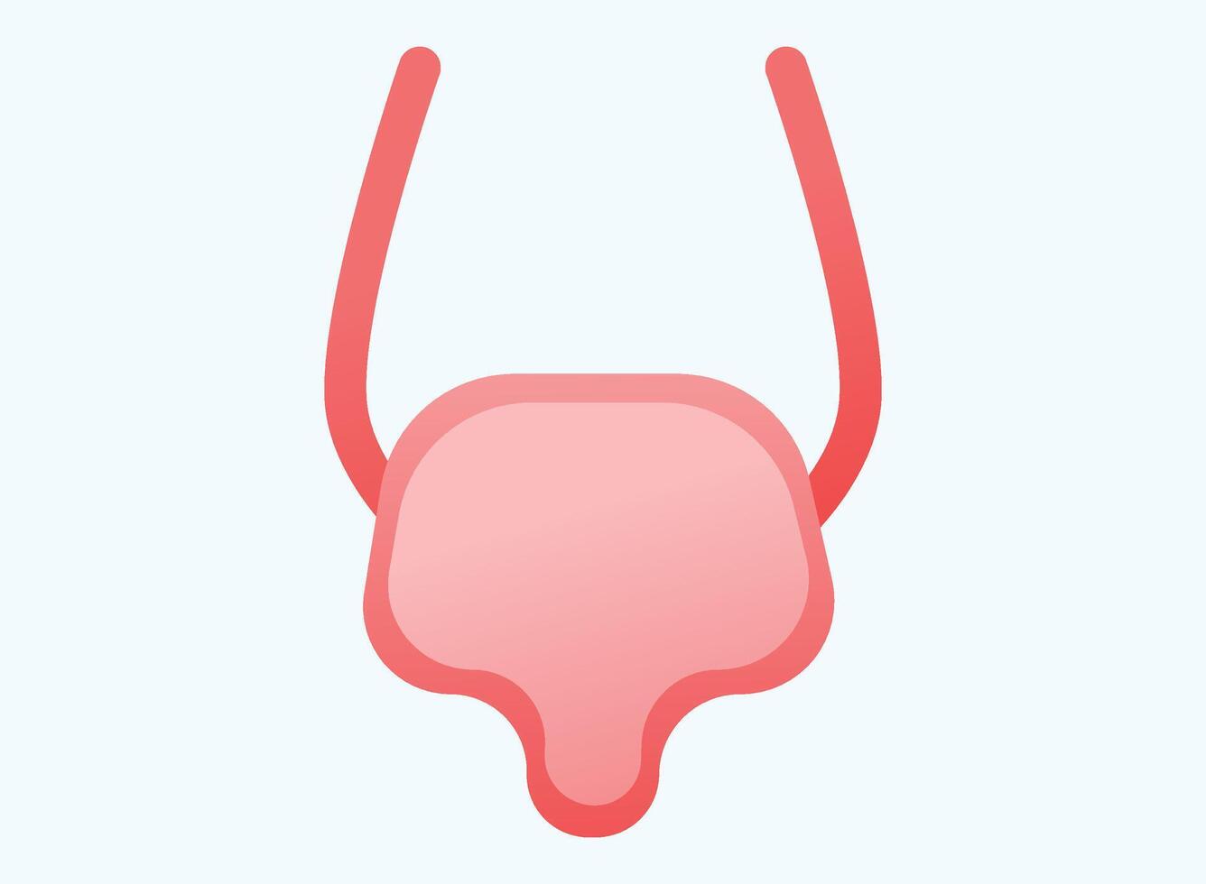 Illustration of an Human Organs Bladder Icon vector