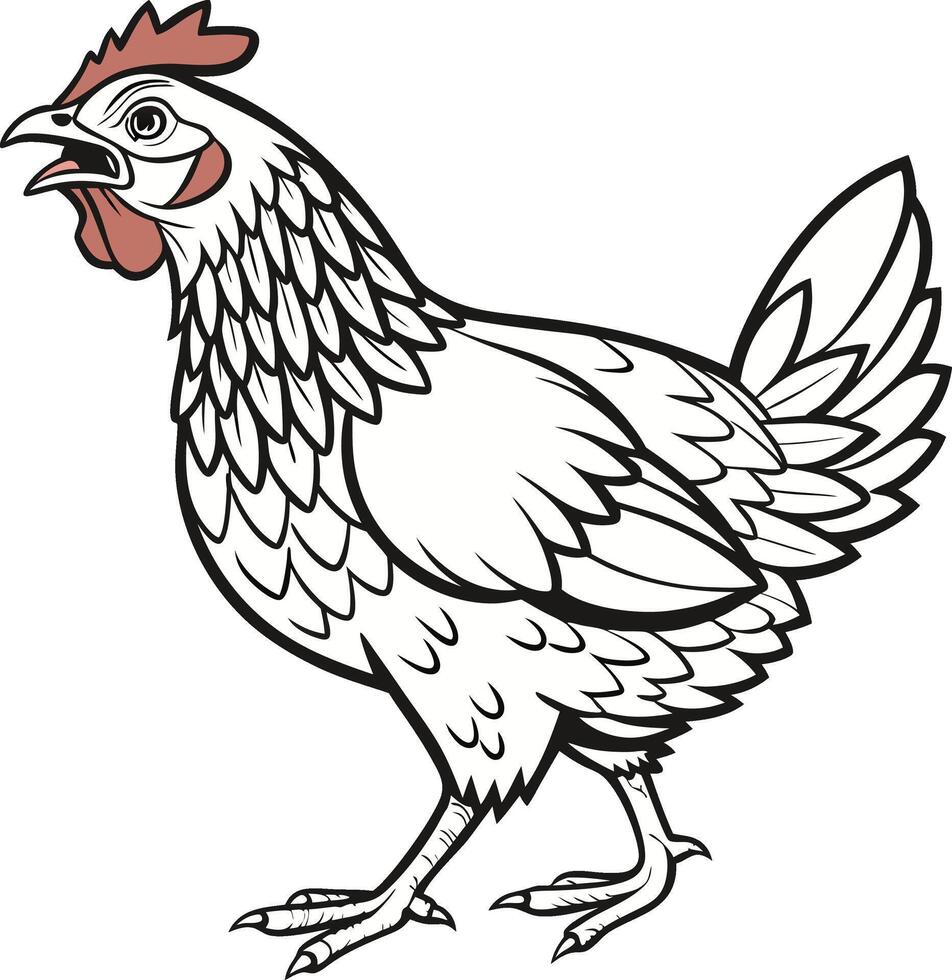 A chicken is standing in a line drawing vector
