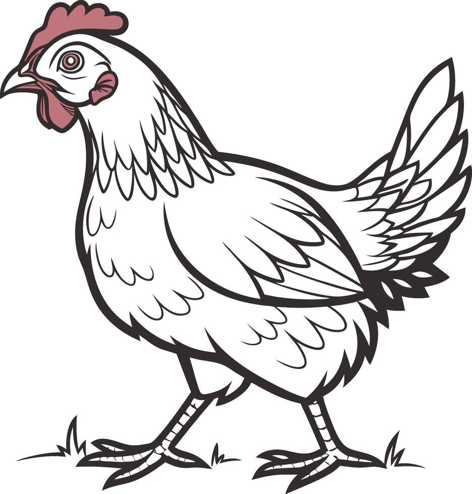 A chicken is standing in the grass coloring page vector