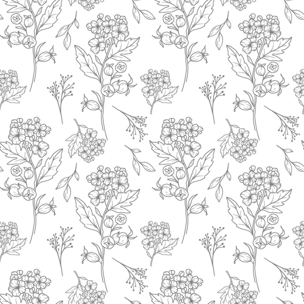 Floral seamless background line art. Hawthorn seamless pattern. Floral background with Hawthorn. May birth month flower line art. Botanical Background for wrapping paper, textile vector