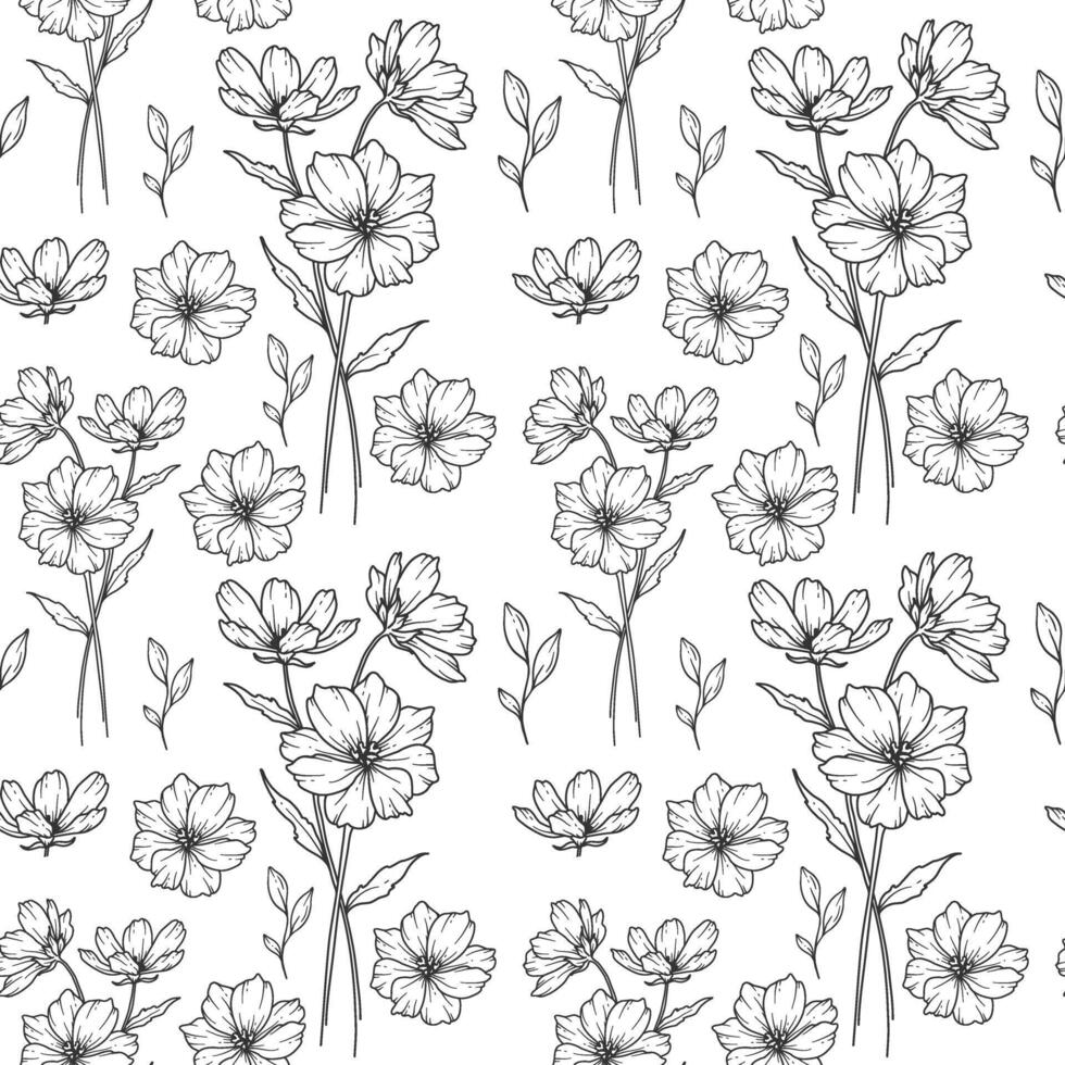 Floral seamless background line art. Cosmos seamless pattern. Floral background with Cosmos. October birth month flower line art. Botanical Background for wrapping paper, textile vector