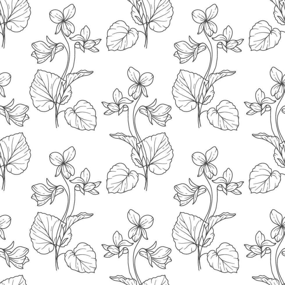 Monochrome Floral seamless background line art. Violets seamless pattern. Floral background with Violets. February birth month flower line art. Botanical Background for wrapping paper, textile vector
