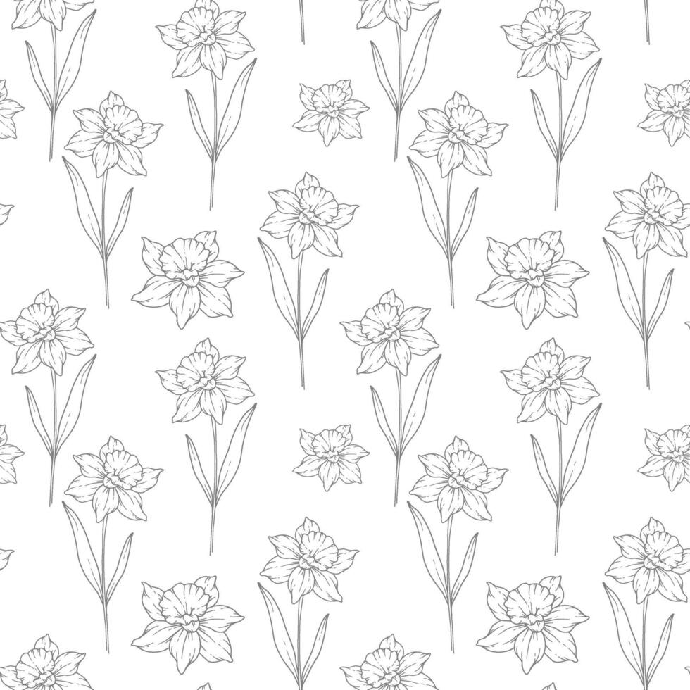 Floral seamless background line art. Narcissus seamless pattern. Floral background with Narcissus. December birth month flower line art. Botanical Background for wrapping paper, textile vector