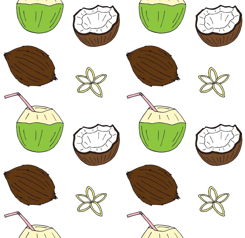 Seamless pattern of hand drawn sketch different coconut isolated on white background vector