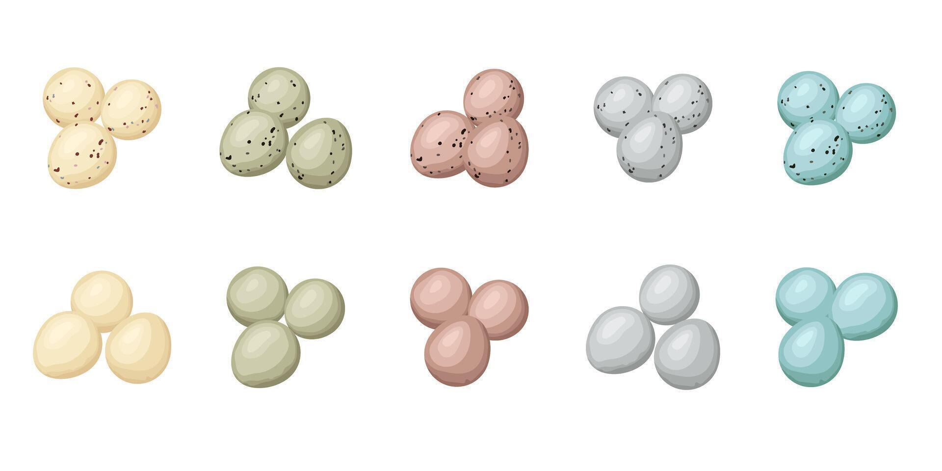 Ten sets of three colorful bird eggs are arranged on a white background, creating a diverse collection of natural beauty vector