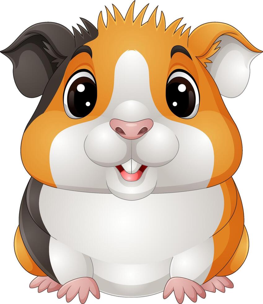 Cartoon a happy guinea pig vector