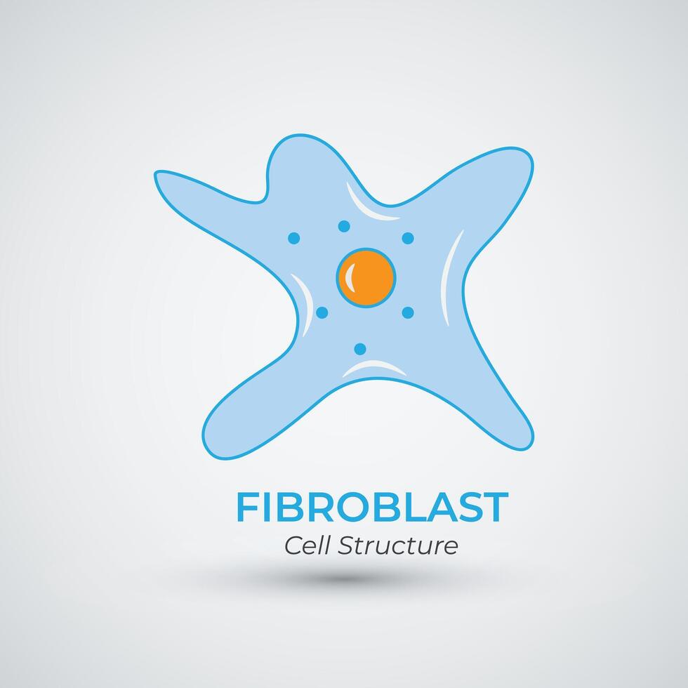 Fibroblast Cell structure Logo Design Illustration vector