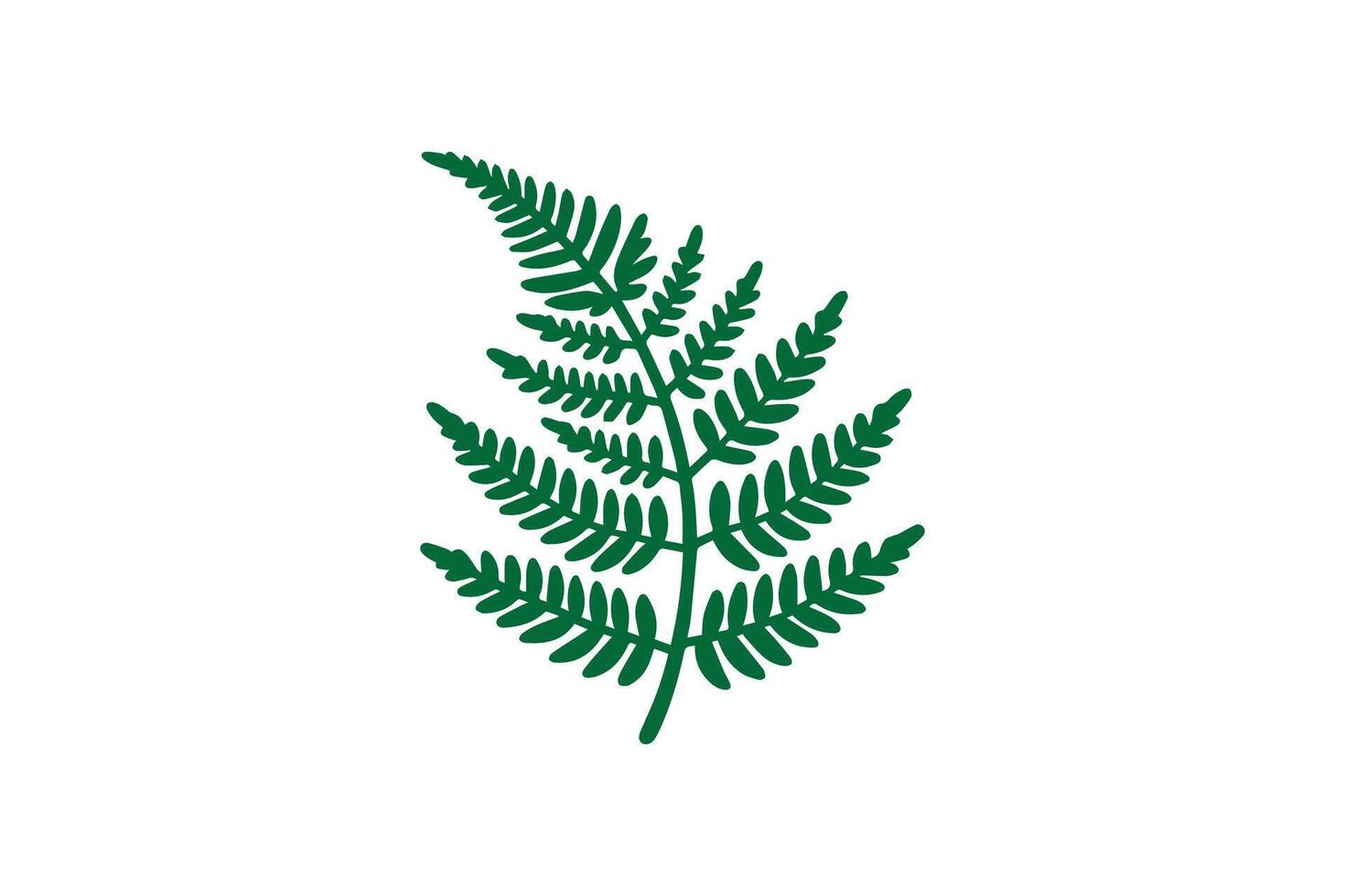 A green fern leaf on a white background vector