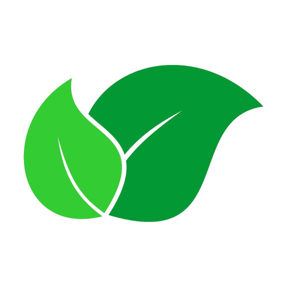 Green leaf icon isolated on white background vector
