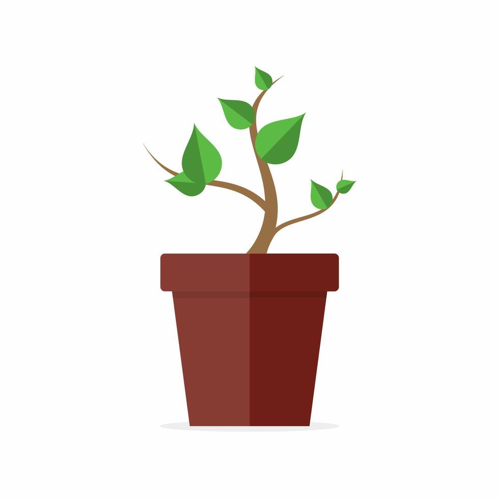 Green plants in pots grow vector