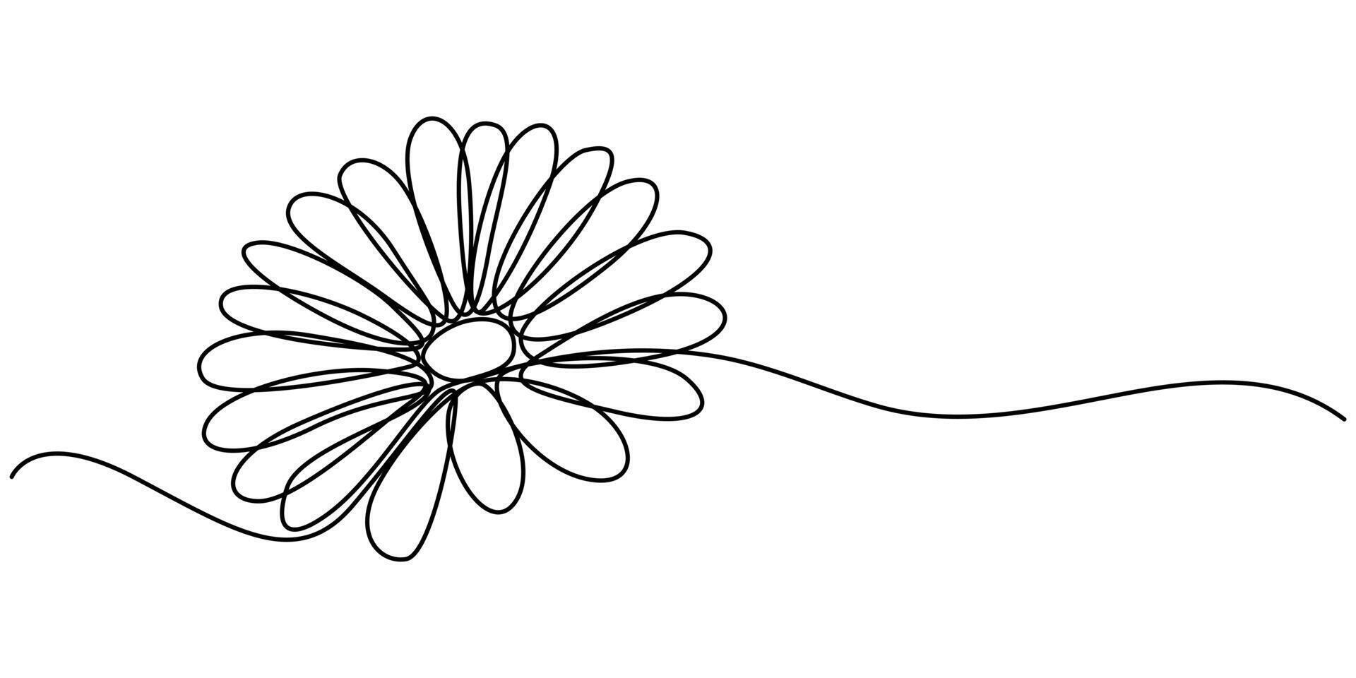 Daisy flower in continuous line art drawing style minimalist black linear sketch vector