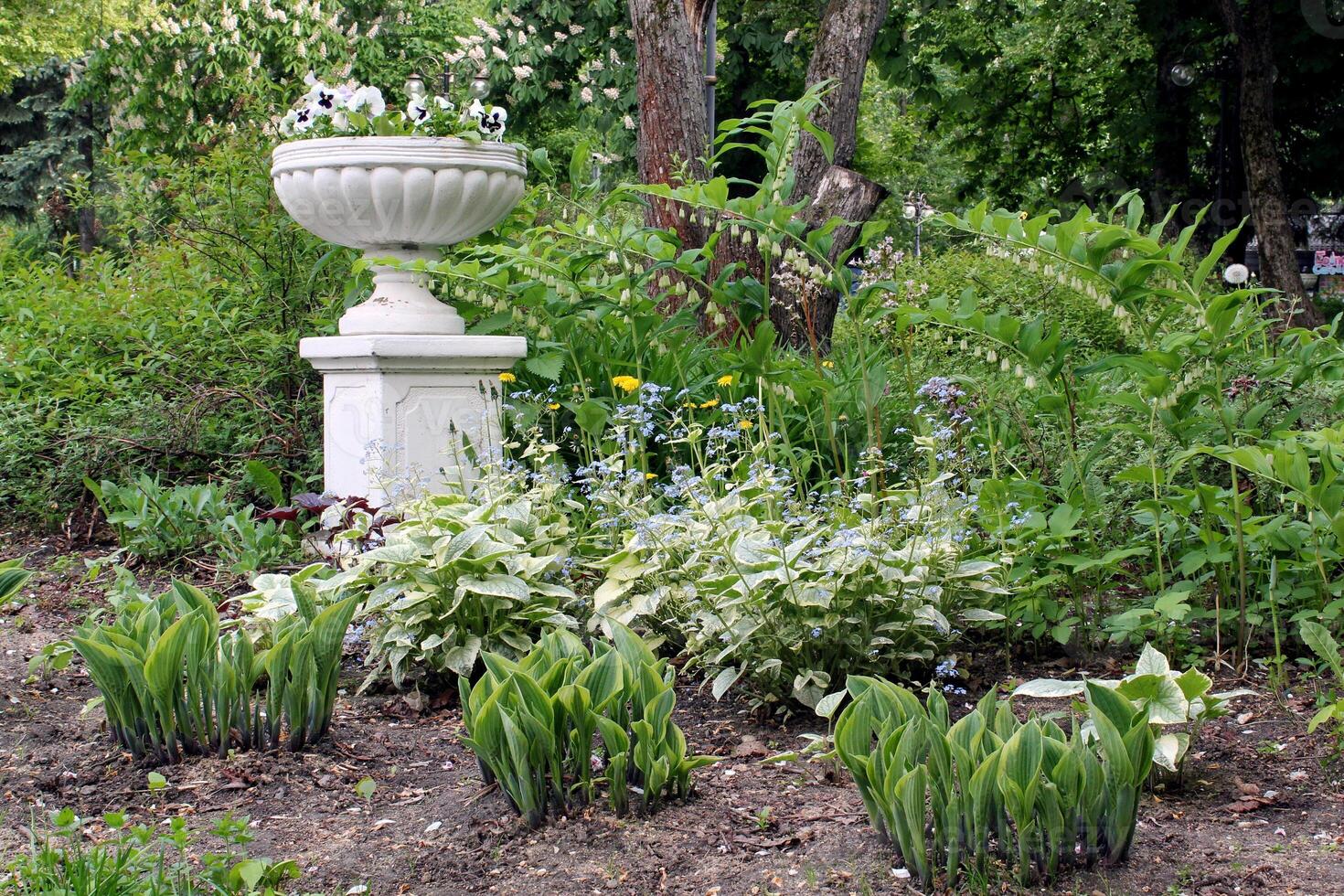 Garden with stone urn and plants. Outdoor garden with urn and flowers. Landscape with stone planter and greenery. Garden scene with decorative urn. Park garden with stone container photo