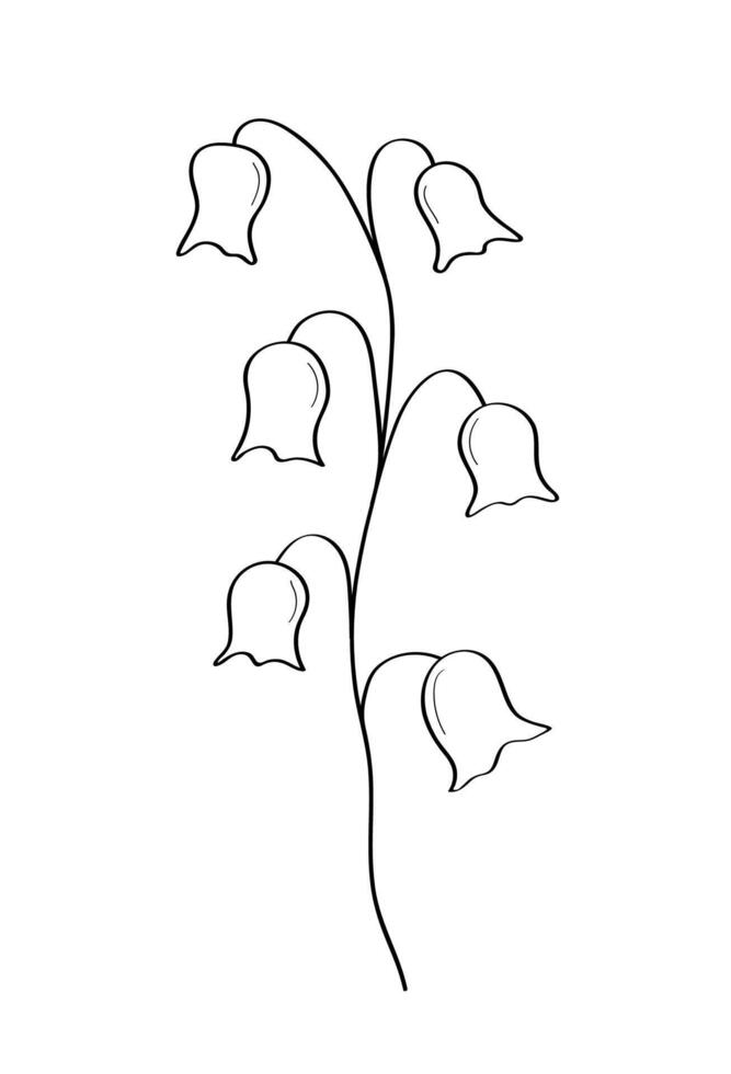 Sketch of a lily bell wildflower. illustration of a spring flower icon. Isolate on white. vector