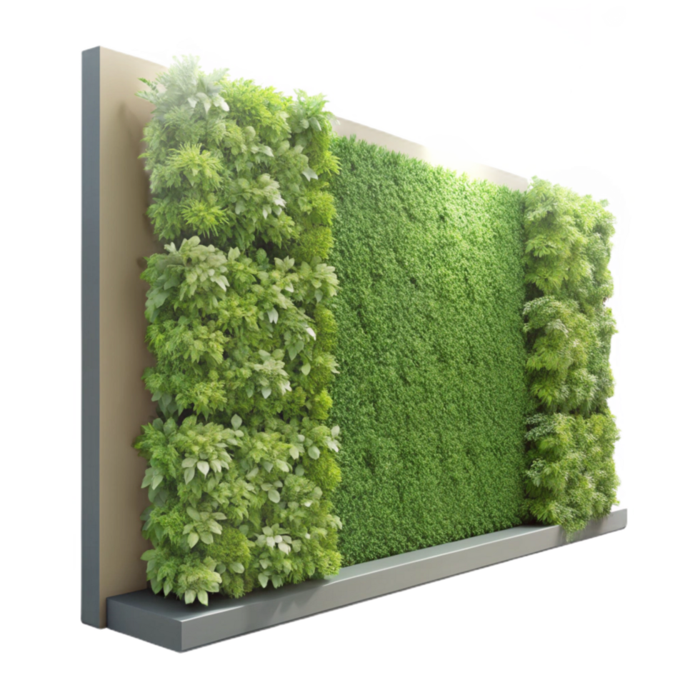 beautiful minimalist Adaptive Green Wall System Isolated Vertical Greenery exclusive png