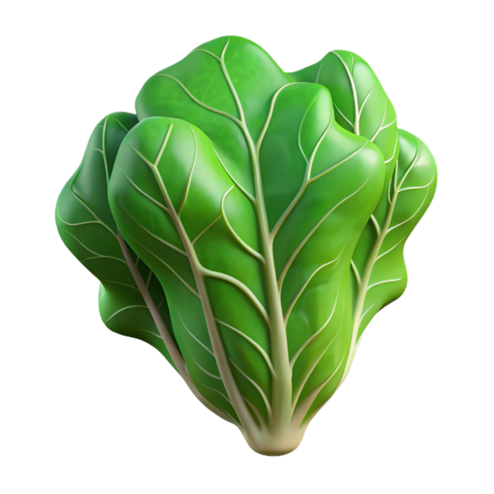 vibrant abstract Artificial Lettuce Leaf Green Veins Isolated Element premium png