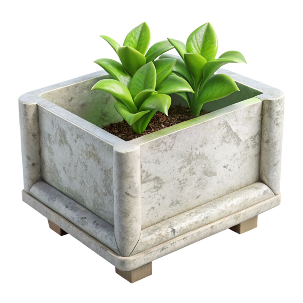 vibrant creative Biodegradable Planter Box White Isolated exclusive png