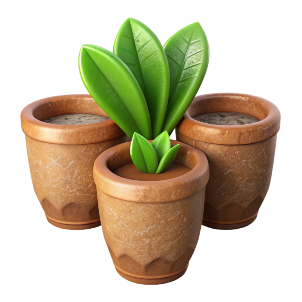 beautiful minimalist Biodegradable Plant Pots Set Transparent Background premium png