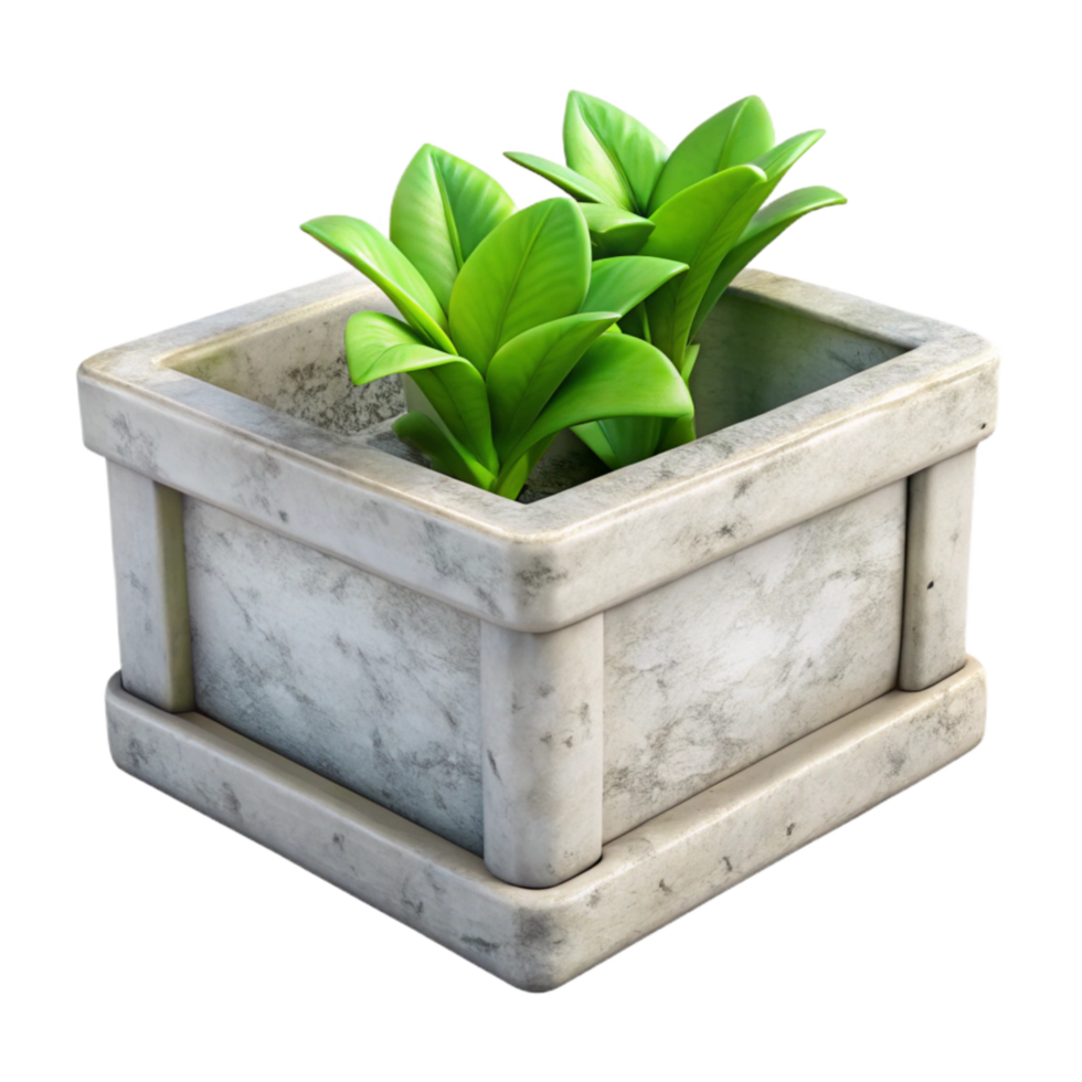 elegant modern Biodegradable Planter Box White Isolated detailed png