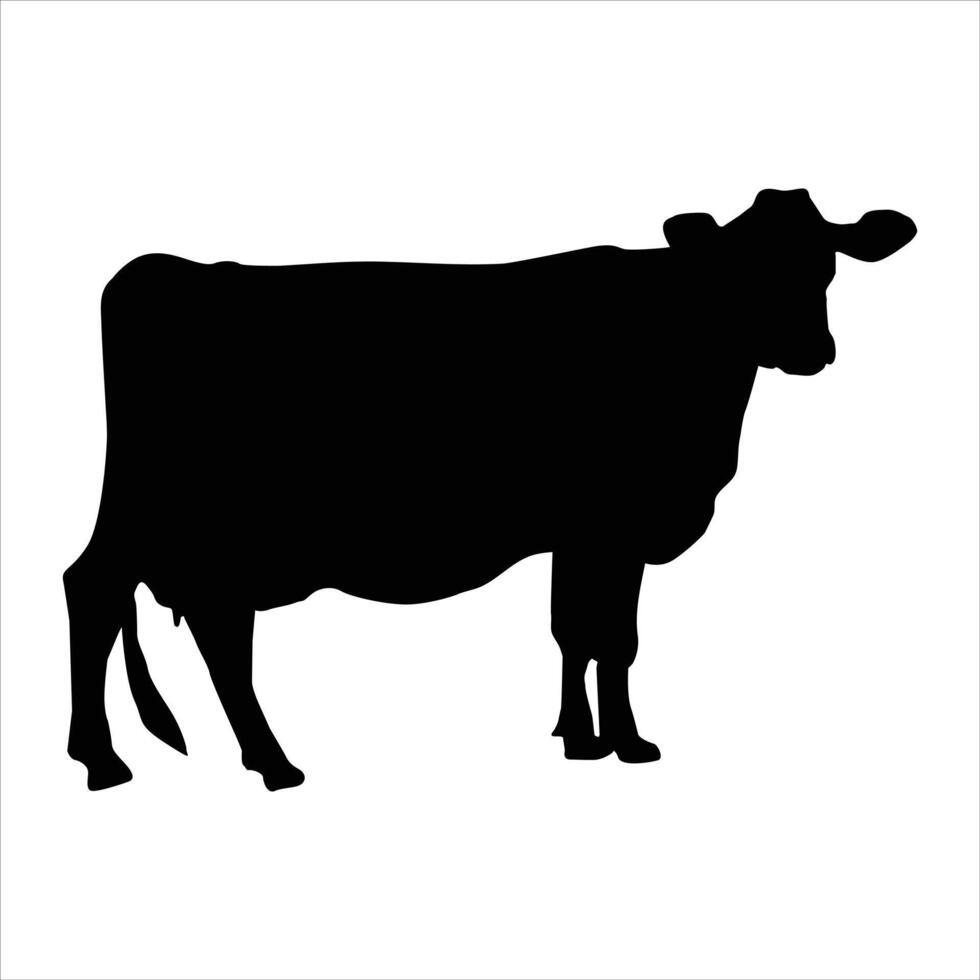 A cow stand on white background vector