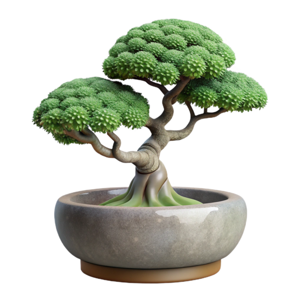 extraordinary modern Bonsai Tree in Ceramic Pot Isolated high quality png