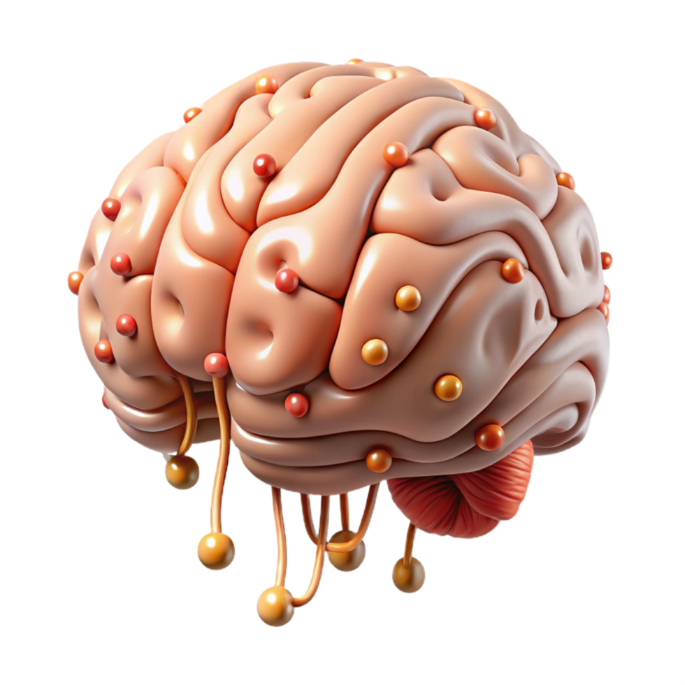 vibrant classic Brain Circuitry Illustration Detailed View Isolated high resolution png
