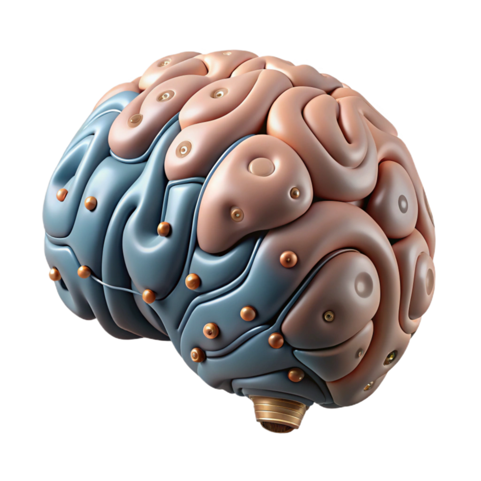 elegant creative Brain Circuitry Illustration Detailed View Isolated authentic png