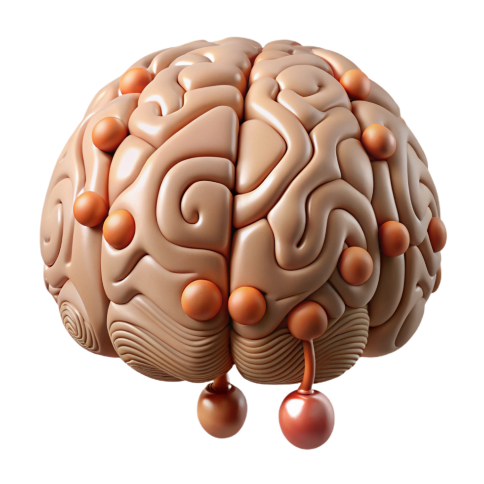 vibrant rustic Brain Circuitry Illustration Simplified View Isolated original png
