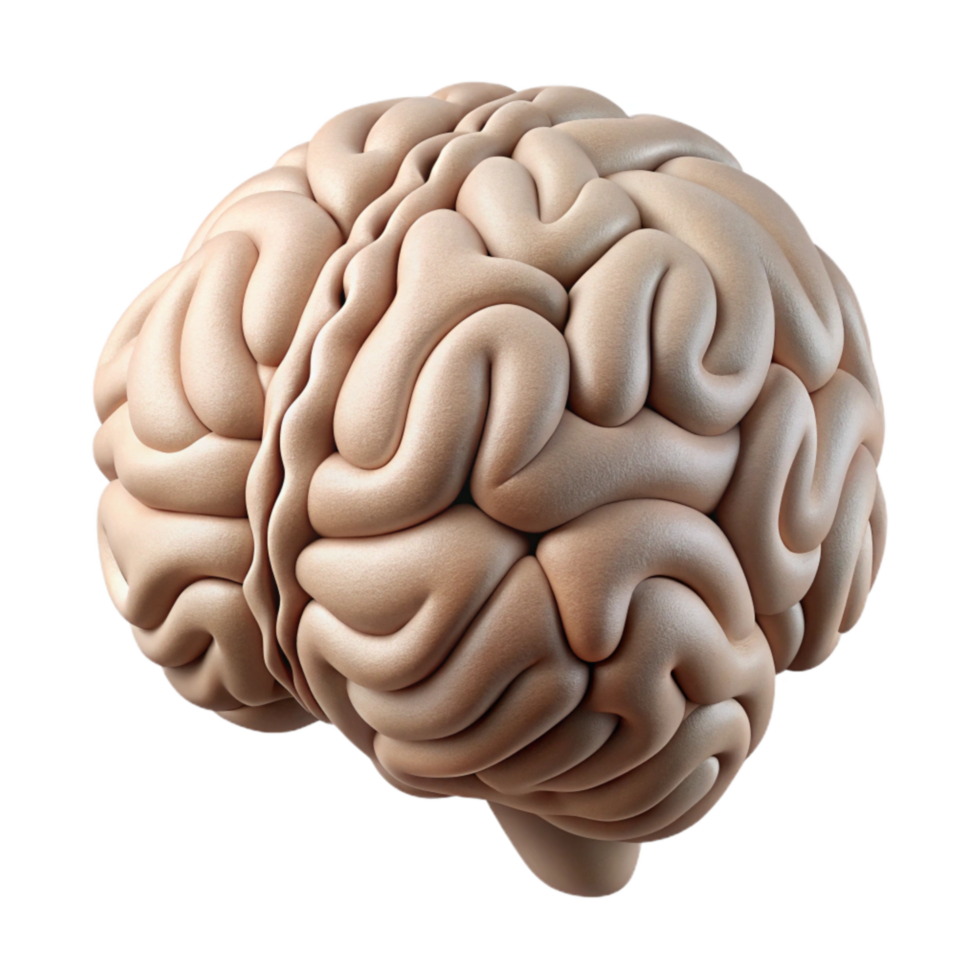 dramatic rustic Brain Outline Illustration Cutout with Simple Design high quality png