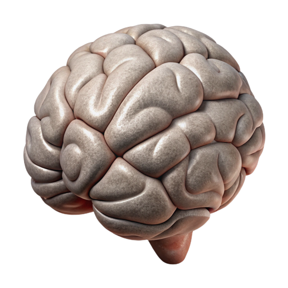 impressive abstract Brain Outline Illustration Cutout with Simple Design high quality png