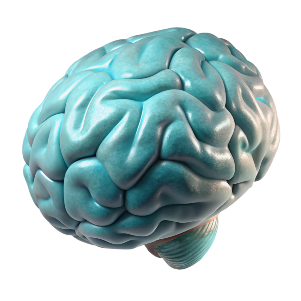 impressive abstract Brain Scan 3d Model Transparent high quality png