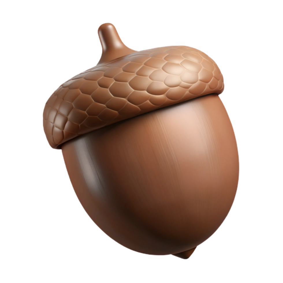 wonderful contemporary Brown Acorn Cutout Isolated with Hard Shell original png