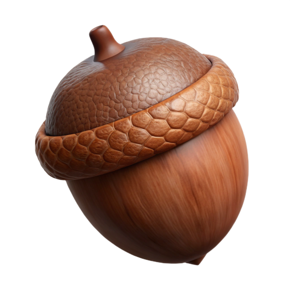 wonderful creative Brown Acorn Cutout Isolated with Hard Shell high quality png