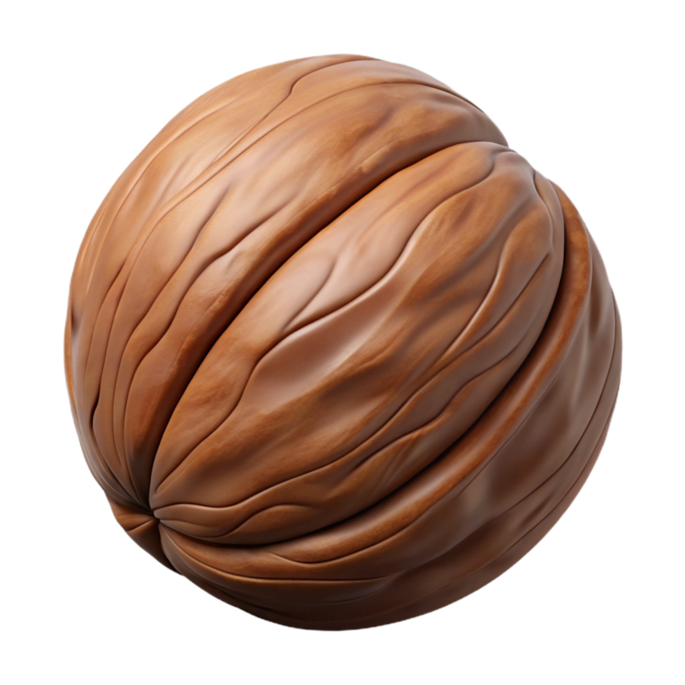 wonderful traditional Brown Walnut Cutout Isolated with Hard Shell high resolution png