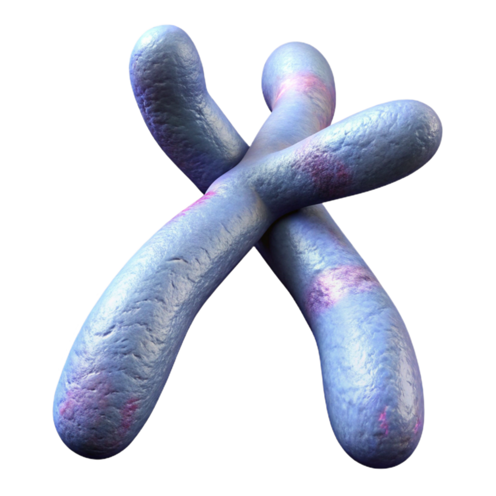 beautiful vintage Chromosome Structure 3d Render Transparent Background detailed png
