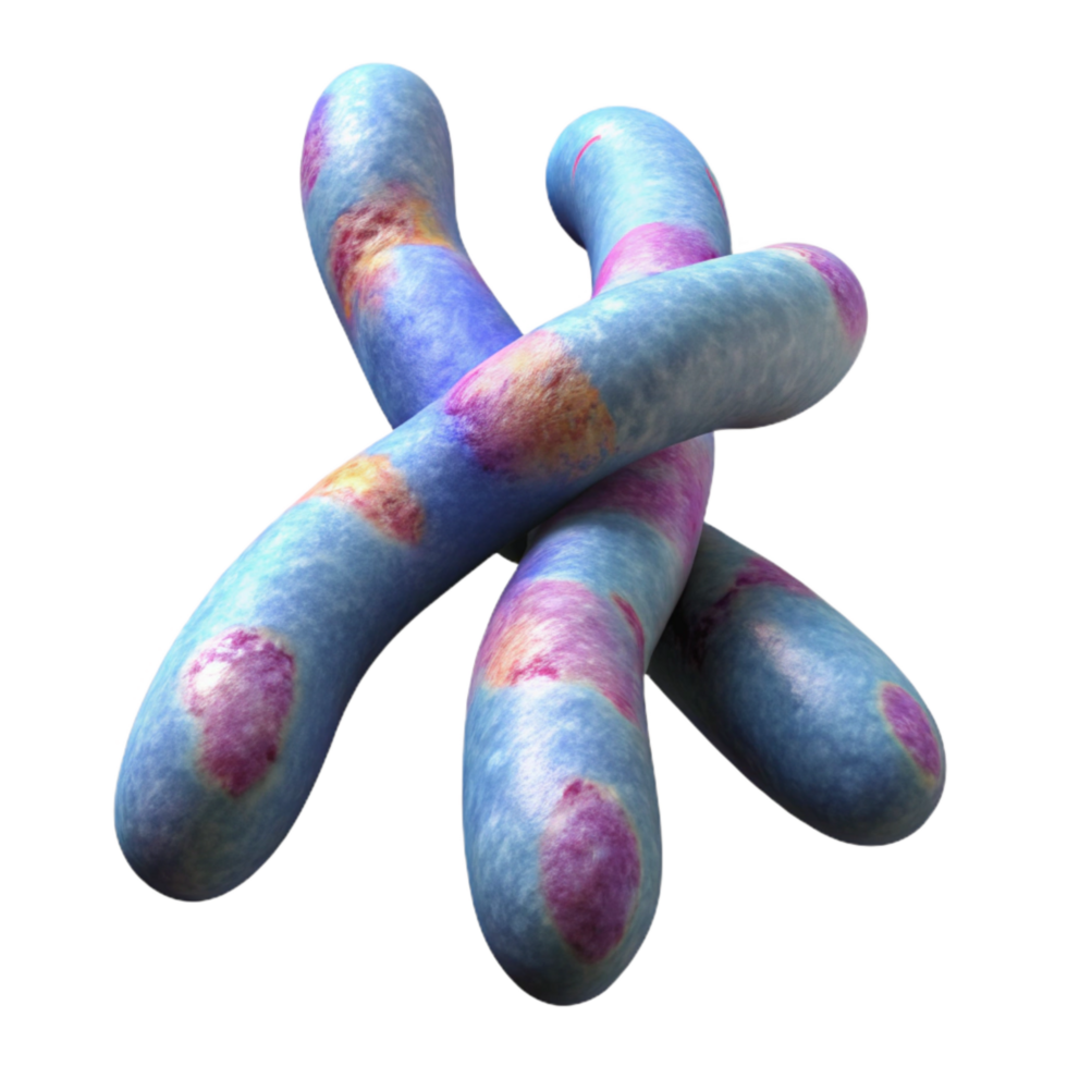 stunning artistic Chromosome Structure 3d Render Transparent Background authentic png