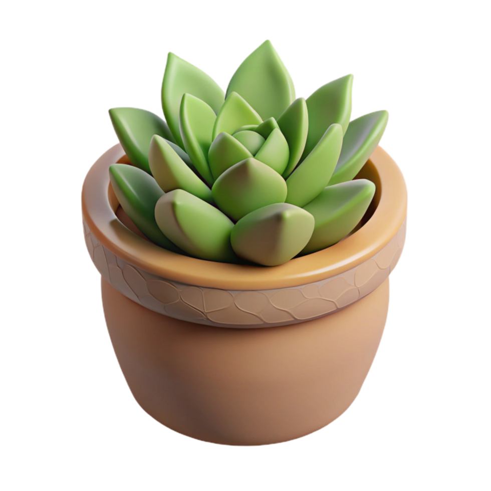 wonderful contemporary Clay Pot with Succulents Transparent Background original png