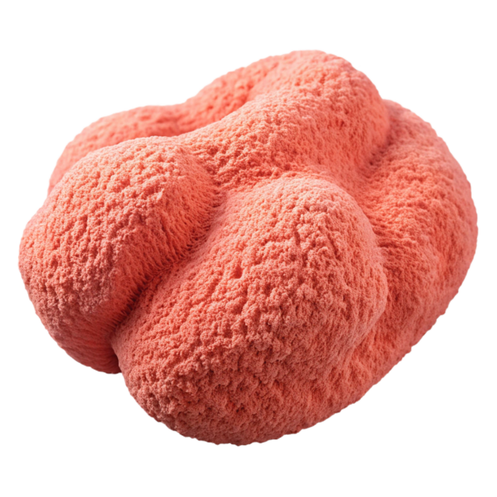 dramatic artistic Coral Terry Cloth Soft Texture Cutout authentic png