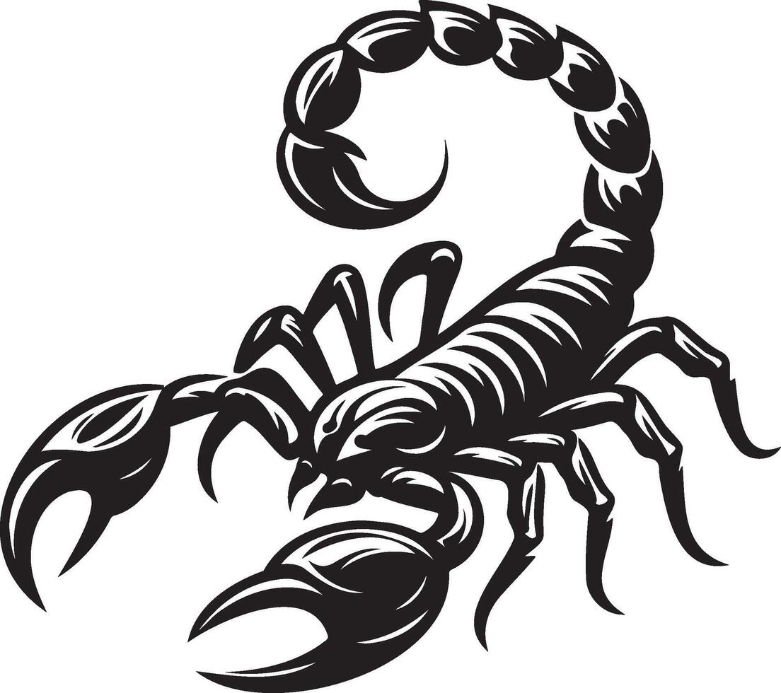 Sorpion Sketch Illustration. vector