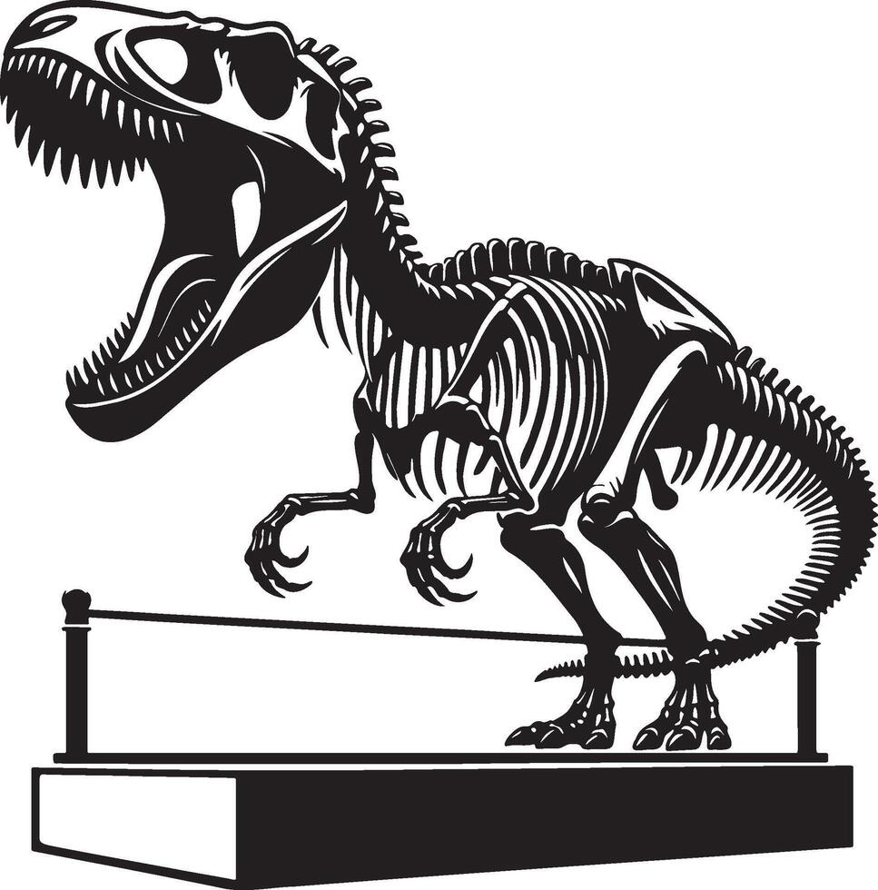 Dinosaur Tyrannosaurus Rex Specimens Bones on Display. vector