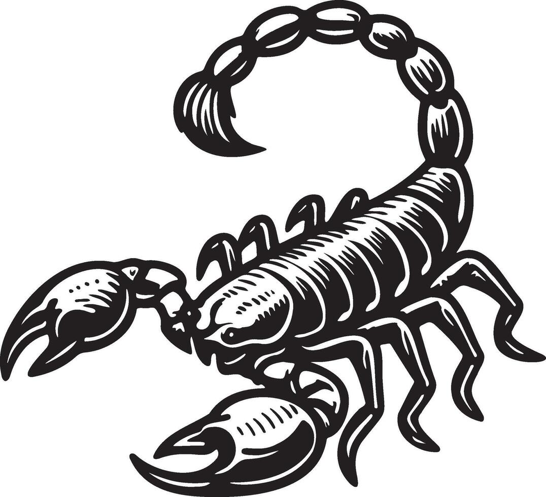 Dread Sorpion Sketch Drawing. vector