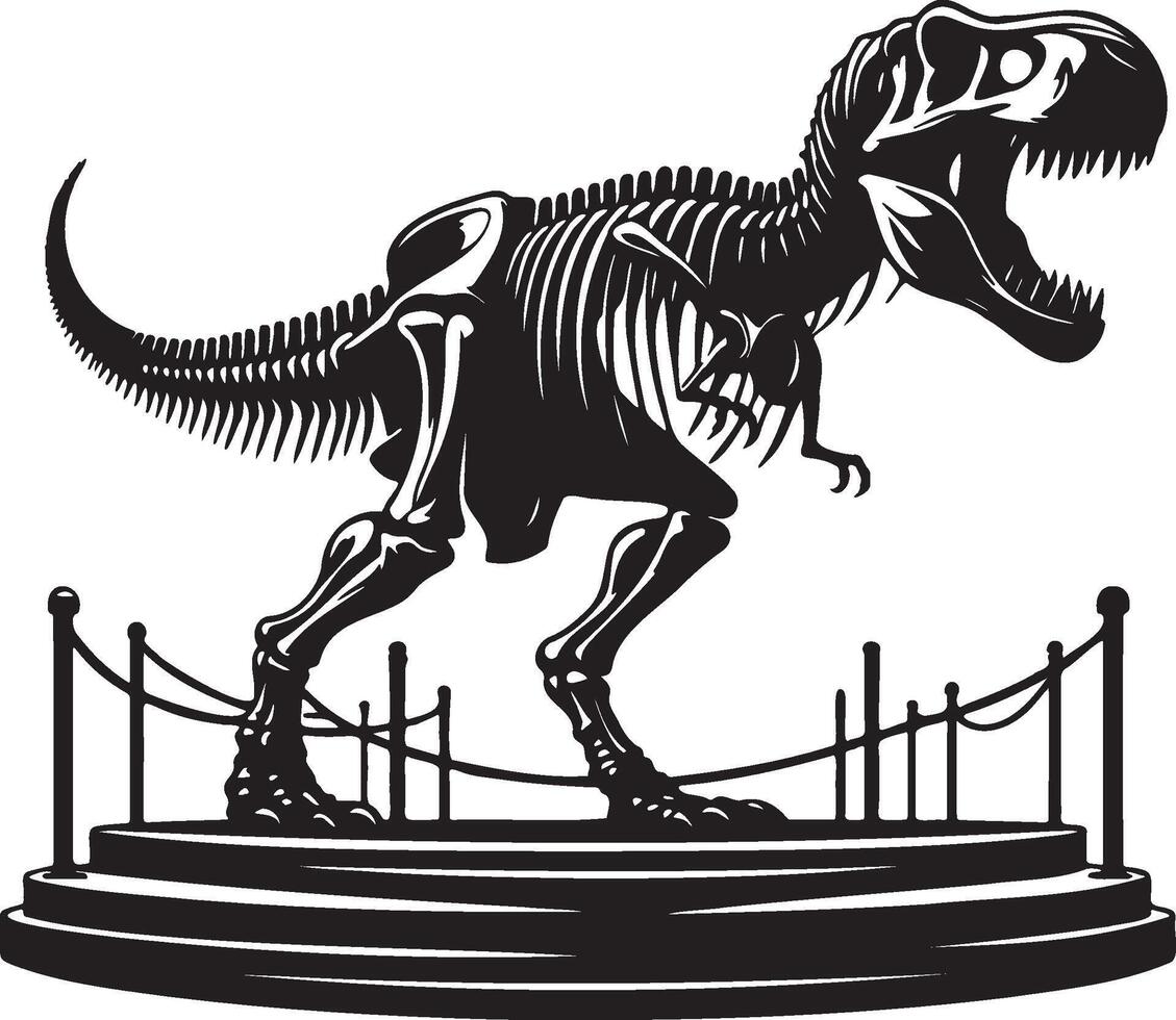 Dinosaur Tyrannosaurus Rex Bones on Display. vector