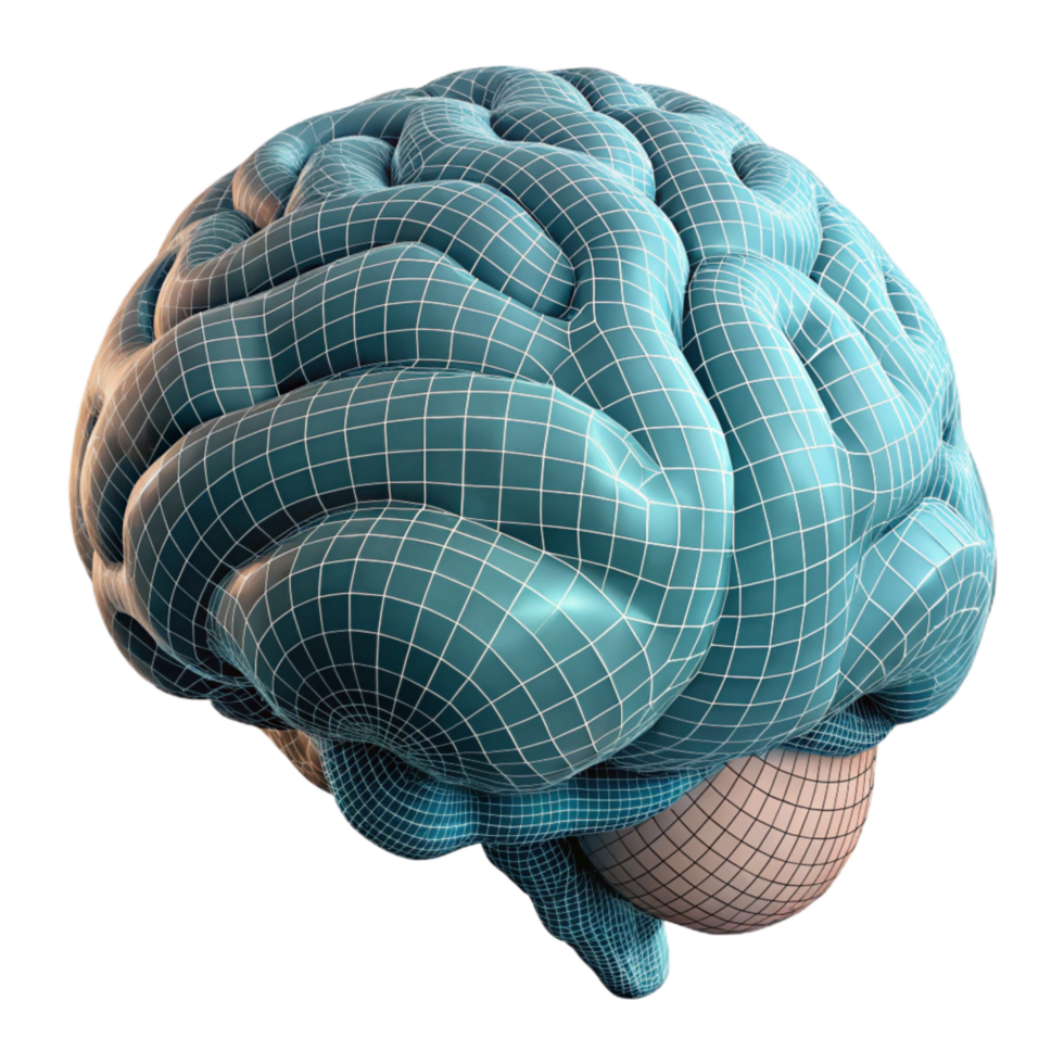 wonderful modern Digital Brain Model Wireframe View Transparent Background 4K png