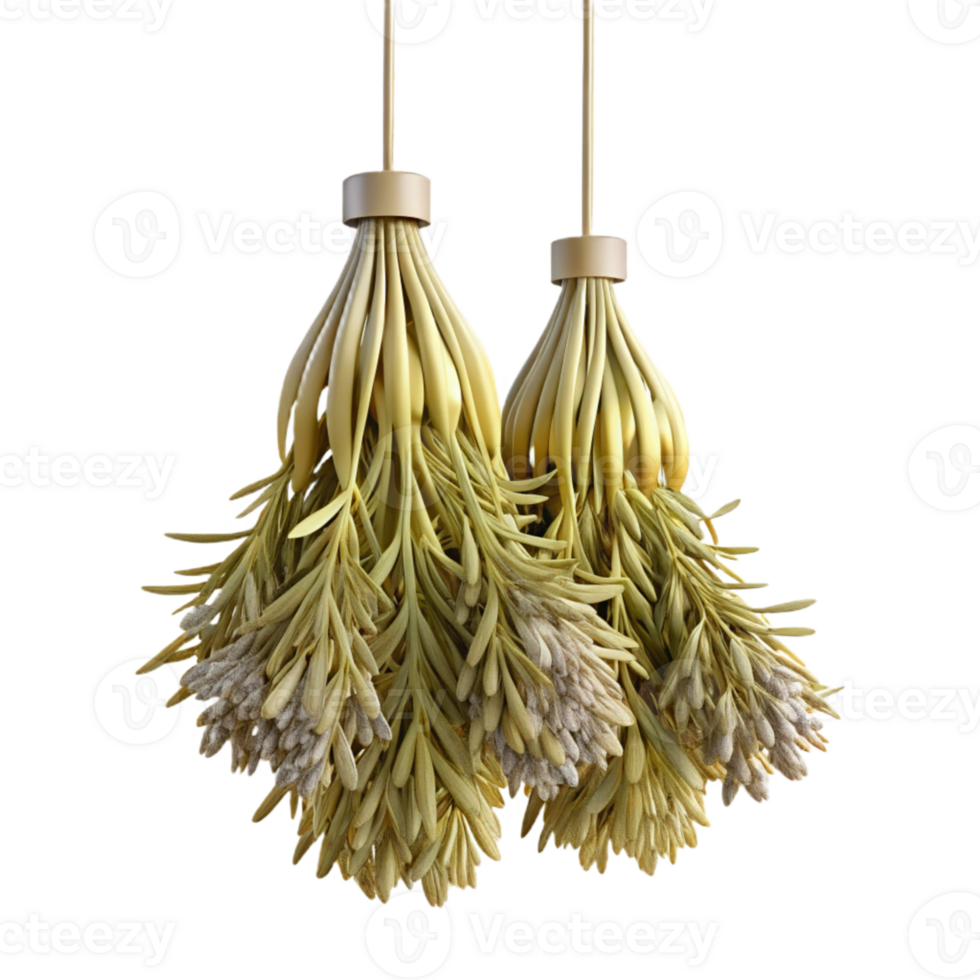 dramatic modern Dried Herbs Hanging Upside Down Transparent Background with Soft Focus high quality png