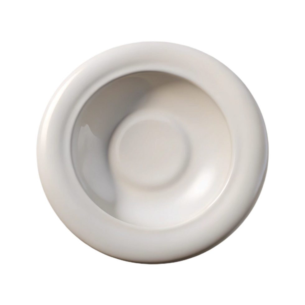 magnificent vintage Empty White Plate Top View Isolated professional png