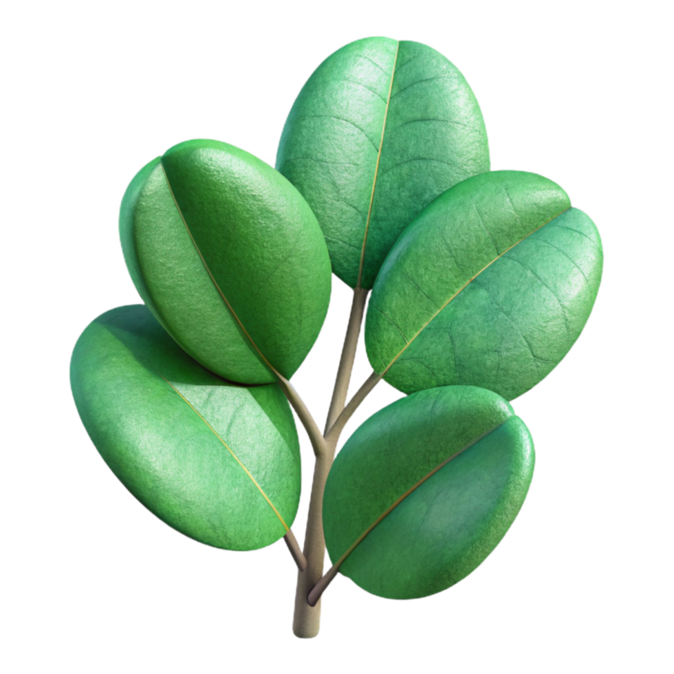 wonderful rustic Eucalyptus Leaves Cutout with Green Tones detailed png