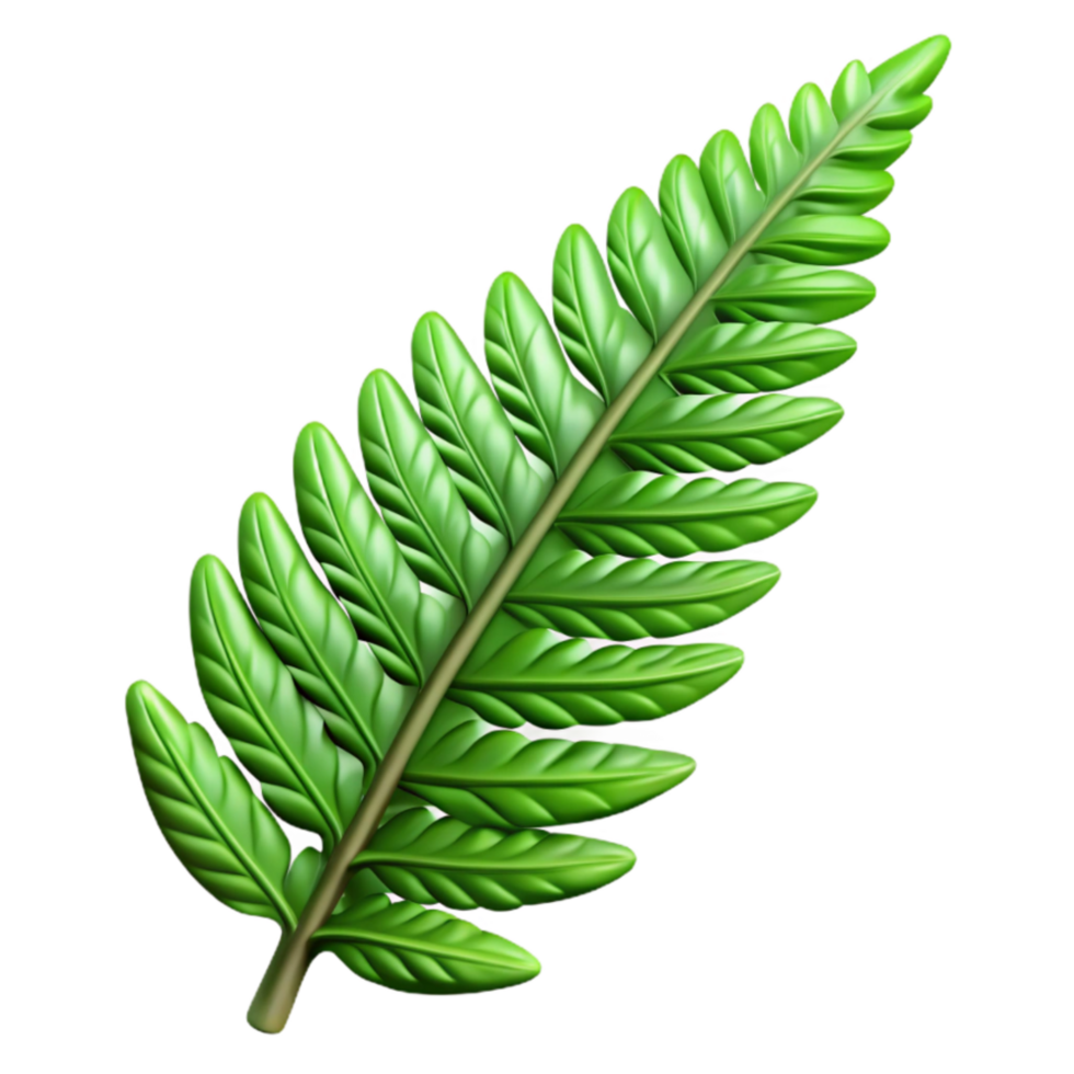 extraordinary modern Fern Frond Detail Cutout with Realistic Lighting exclusive png